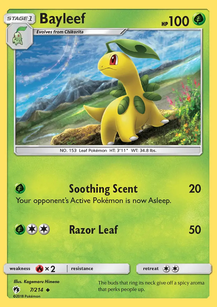Image of the card Bayleef