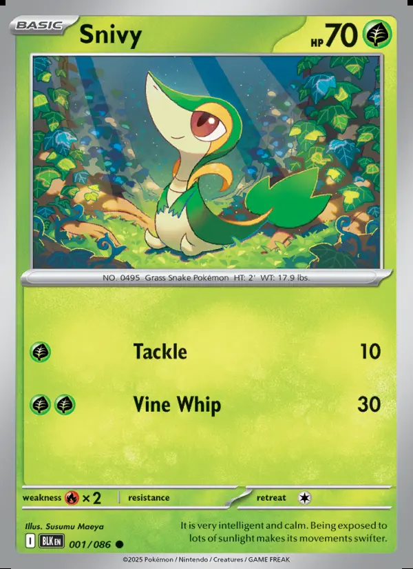 Image of the card Snivy
