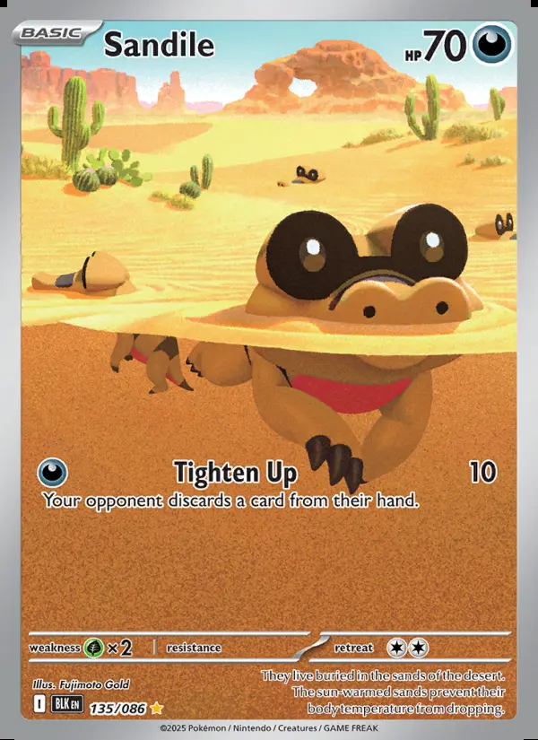 Image of the card Sandile