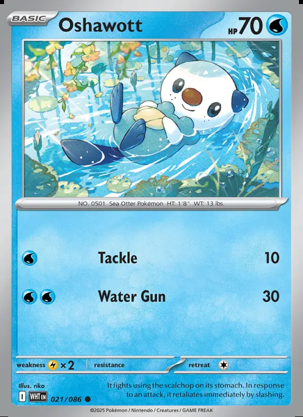 Image of the card Oshawott